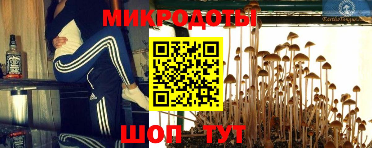 Россия  Псилоцибиновые грибы прущие грибы  Вход с VPN  Псилоцибиновые грибы Psilocybe 