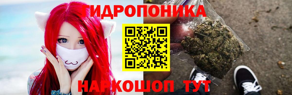 Шишки марихуана OG Kush Россия